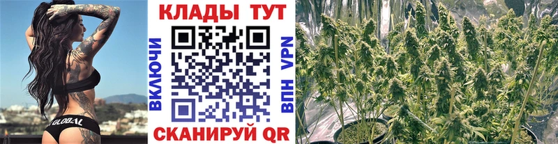 Купить закладку АМФЕТАМИН МЕФ Галлюциногенные грибы Cocaine Лесозаводск