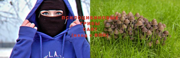гашиш Горно-Алтайск